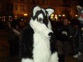 DSCF2819.JPG